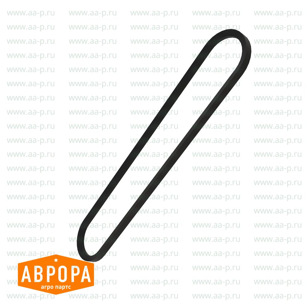 Arm